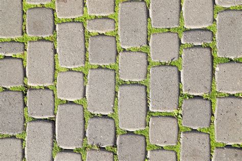 420 Grass Paver Texture Stock Photos - Free & Royalty-Free Stock Photos ...