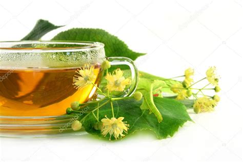 Linden flower tea — Stock Photo © silencefoto #3378005