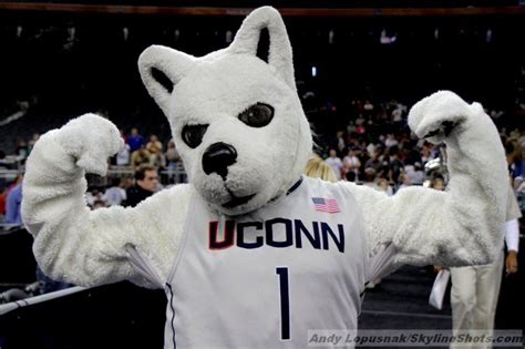 Basketball Live Mascot, Uconn Huskies, University Of Connecticut ...