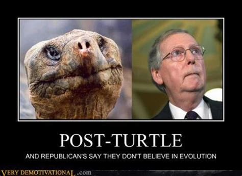 demotivational_posters_post_turtle