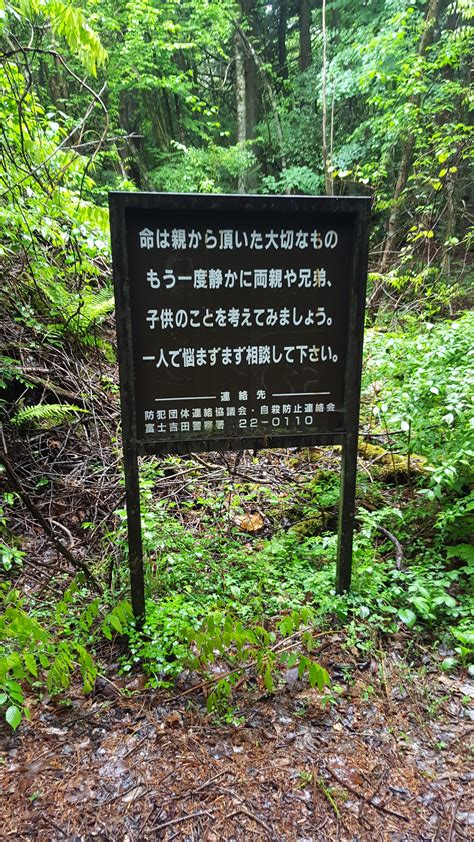 36 best Aokigahara images on Pholder | Pics, Youtube and Scary Signs