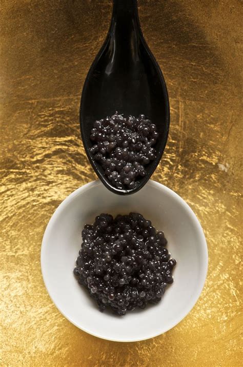 Beluga caviar - $$$ | Beluga caviar, Caviar taste, Caviar recipes