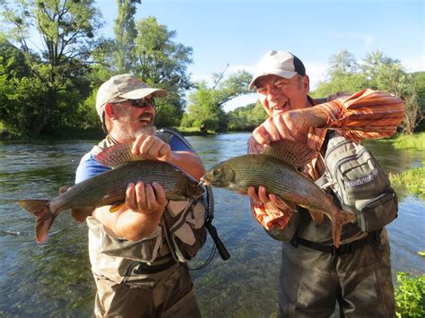 Fly Fishing for Grayling in the Balkans - Ivan Randjelovic Fly Fishing ...