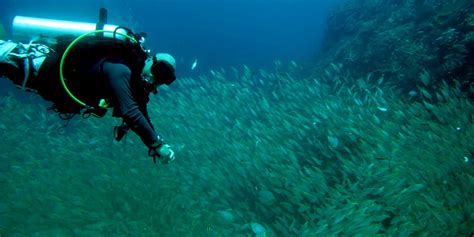 Khao Lak Diving photos 2 - Khao Lak Scuba Diving | Dive safaris Similan ...