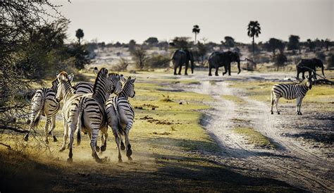 Top 10 Tourist Attractions In Botswana - Secret Africa