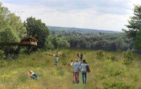 Next steps for rewilding Allestree Park | Derbyshire Wildlife Trust