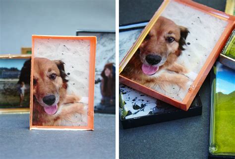 34 Caring Pet Memorial Ideas | Shutterfly