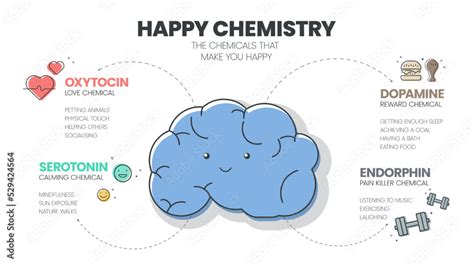 Happy Chemistry infographic has 4 types of Chemical hormones such as ...