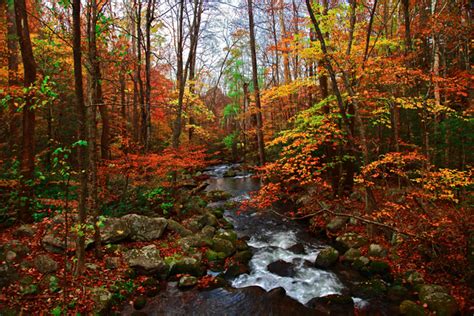 Smoky Mountains Stream with Fall Colors « JoeyBLS Photography