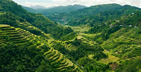 The 2000-year-old Ifugao rice terraces - a true staircase to heaven ...