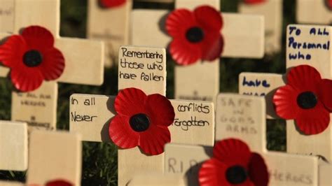 How a Remembrance Day poppy is made - BBC News