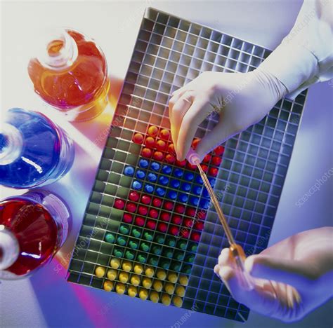 Manufacture of immunoassay medical diagnostic kits - Stock Image - T890 ...