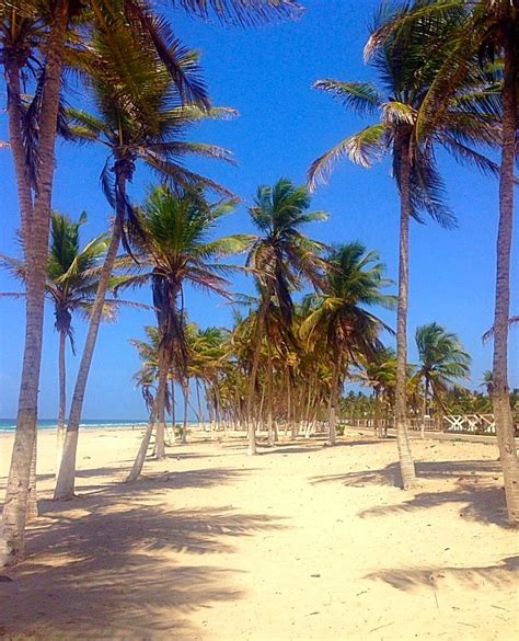 Playa El Agua - Venezuela 🇻🇪 ♥️ | Beach, Outdoor, Water