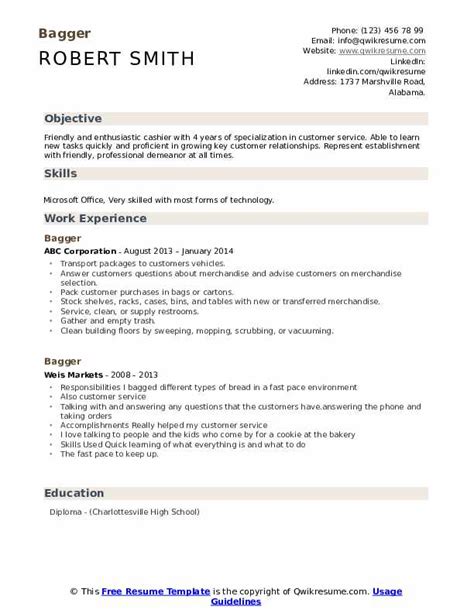 Bagger Resume Samples | QwikResume