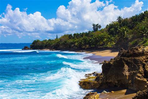 Discover Rincón: 14 Things To Experience the Best of Puerto Rico’s ...