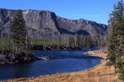 Fly Fishing Montana's Madison River | Backroad to Yellowstone