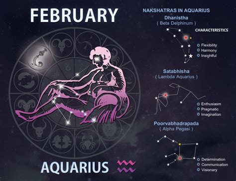 February 12 Zodiac Sign - Reverasite