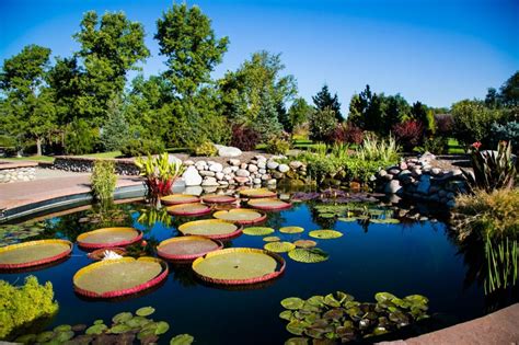 Public gardens in Colorado that are worth a visit