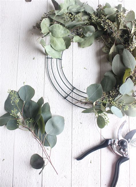 Fresh Eucalyptus Wreath DIY | Diy wreath, Eucalyptus wreath, Wreaths