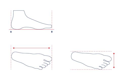 How To Measure Shoe Size Asics? - Shoe Effect