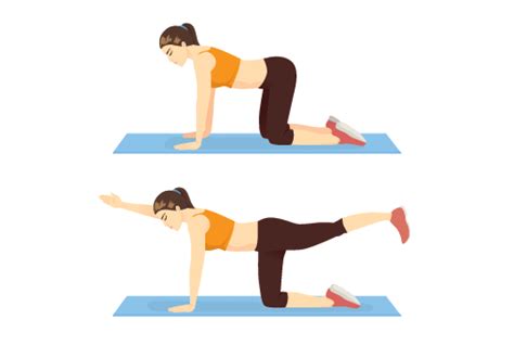 Best Workouts For Scoliosis | EOUA Blog