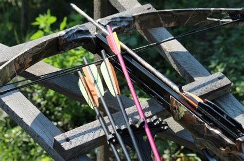 Crossbow Bolts: The Ultimate Guide - CrossbowsHQ