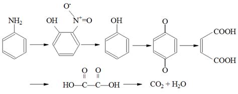 Proposed reaction pathways for degradation of aniline | Download ...