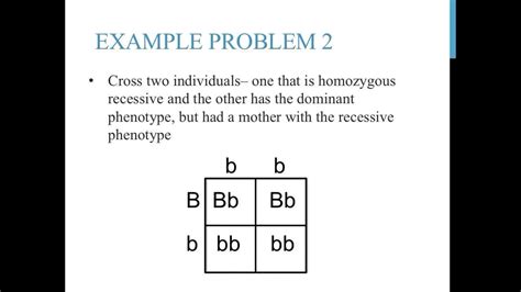 Punnett square practice problems (simple) - YouTube