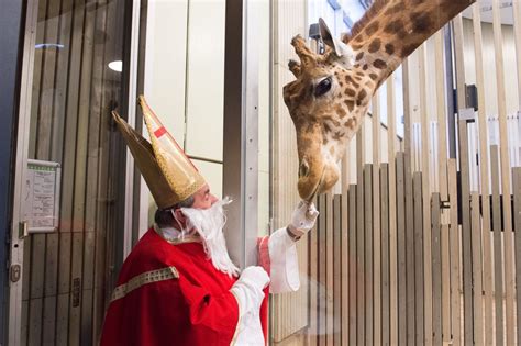 Santa Sightings Around the World - ABC News