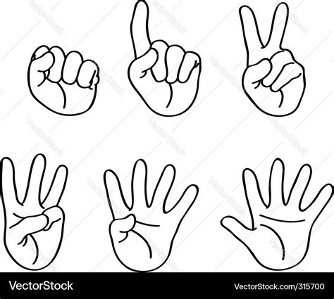 Counting fingers Royalty Free Vector Image - VectorStock