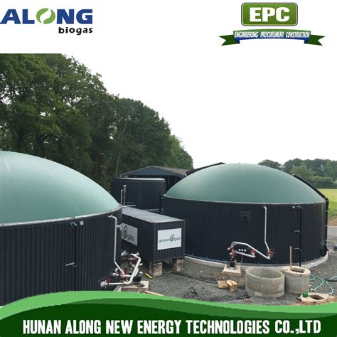 Pig Farm Manure Biogas Anaerobic Biogas Digester/Reactor/Fermenter ...