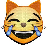 Cat laughing emoji, cat , laughing , chat , rire , emoji , happy ...