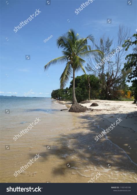 Beaches Libreville Gabon Stock Photo 1193145199 | Shutterstock