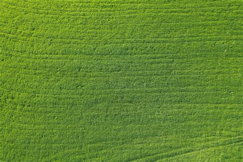 An aerial view of a green grass field photo – Free Texture Image on ...