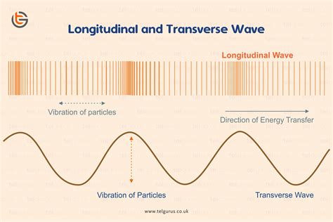 Longitudinal Wave Animation