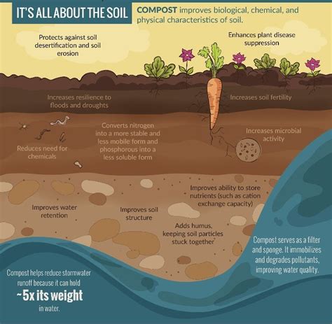 23 Benefits of Compost Backed by Science - Compost Magazine