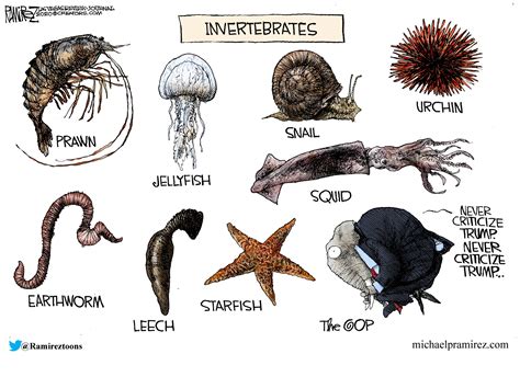 Invertebrates – Issues & Insights