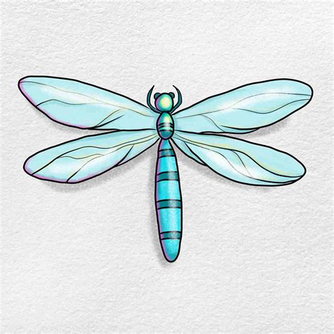 Dragonfly Flying Drawing