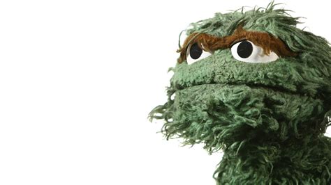 2160x1440 resolution | green puppet from sesame street, Oscar The ...