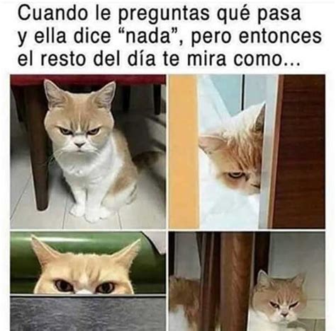 48 Imágenes de Memes muy divertidos, graciosos y chistosos