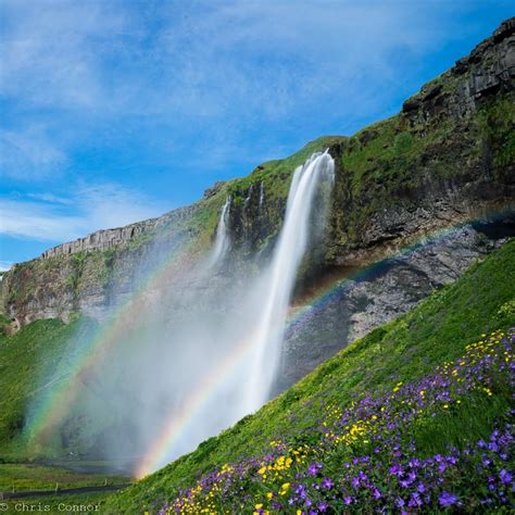 Did somebody say double rainbow? Seljalandsfoss, Iceland [OC][1200x1200 ...