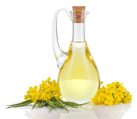 CANOLA OIL | Universal Trading Indonesia | Ingredients Network