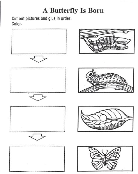 Gambar Bowes Handelman Hungry Caterpillar Unit Free Printable Butterfly ...