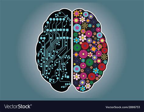 Left and right side of the brain logic and Vector Image