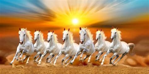 Bộ sưu tập 500 7 white galloping horses with rising sun in the ...