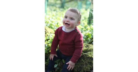 Prince Louis's First Birthday Portraits | POPSUGAR Celebrity Photo 3