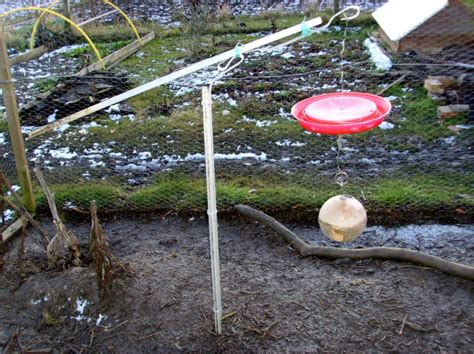 Allotment Heaven: How to make a rat proof chicken feeder