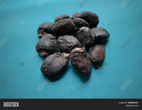 Semecarpus Anacardium Image & Photo (Free Trial) | Bigstock