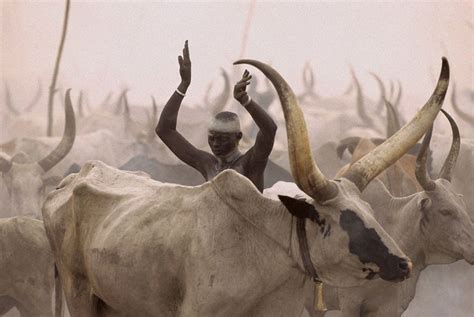 Powerful Photographs Show The Daily Life of The Dinka People Of ...