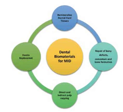 Figure 1 from Biodentine as an Ideal Biomimetic Dental Material for ...